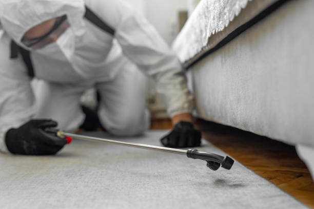 Professional Bed Bug Control technician working in McChord AFB, WA