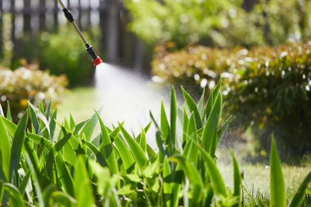 24/7 Emergency Bed Bug Control experts in McChord AFB, WA