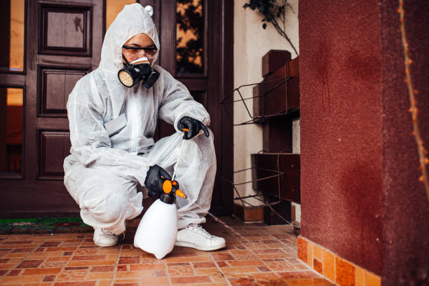 Reliable Bed Bug Control contractor in McChord AFB, WA by Nex Pest Control